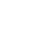 Instant Print Icon